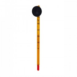 Thin Thermometer