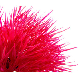 Akvarijní plastová rostlinka - tráva červená mini